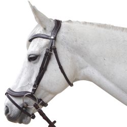 Bridon Baloubet Canter