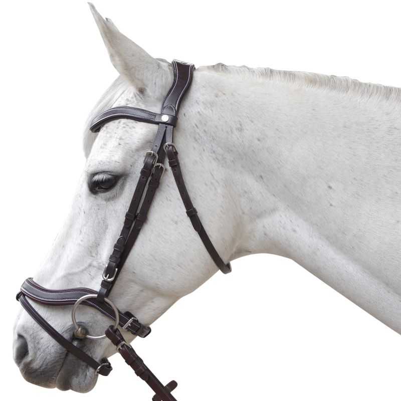 Bridon Baloubet Canter Bridon Baloubet Canter