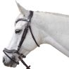 Bridon Baloubet Canter
