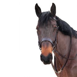 Rênes Bredies CANTER