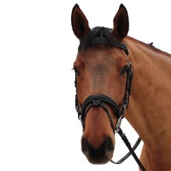 Bridon Mylord Canter