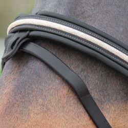 Bridon Mylord Canter