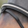Bridon Mylord Canter