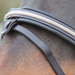 Bridon Mylord Canter