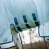 Couverture anti-mouches Amigo Bug Buster Horseware