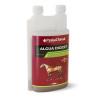 Algua digest Paskacheval – draineur