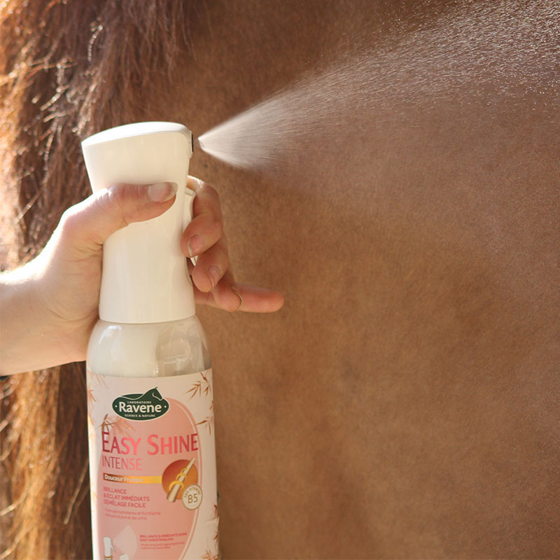 Easy Shine Intense Ravene Démêlant lustrant