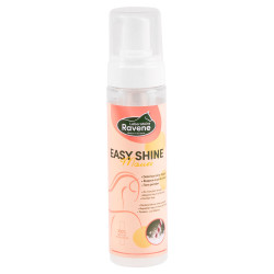 Easy Shine Mouss Ravene - Détachant