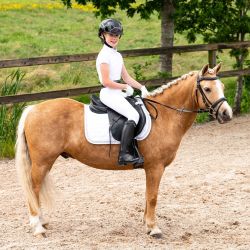 Polo de concours Zayla Junior Q-Essentials