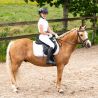 Polo de concours Zayla Junior Q-Essentials