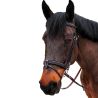 Bridon Bombé Nino Canter