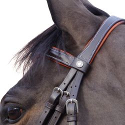 Bridon Alme Canter