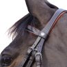 Bridon Alme Canter