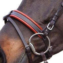 Bridon Alme Canter