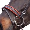 Bridon Alme Canter
