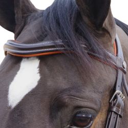 Bridon Alme Canter