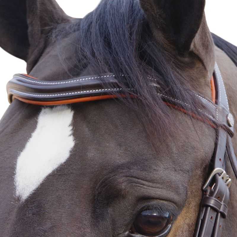 Bridon Alme Canter Bridon Alme Canter