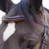 Bridon Alme Canter