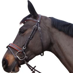 Bridon Alme Canter