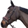 Bridon Alme Canter