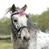 Corne de Licorne