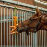 Jouet pour chevaux avec filet à foin QHP
