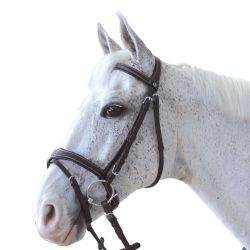 Bridon Ornella Canter