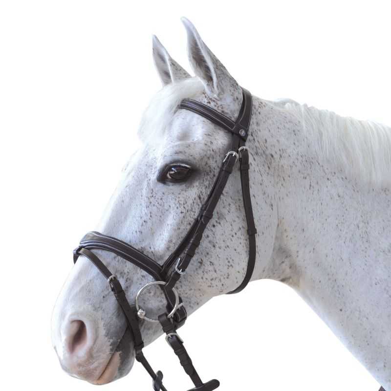 Bridon Ornella Canter Bridon Ornella Canter