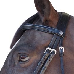 Bridon Euro Pull-back Canter