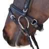 Bridon Euro Pull-back Canter