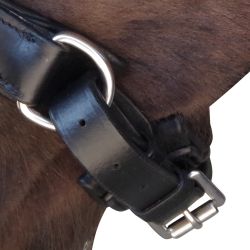 Bridon Euro Pull-back Canter