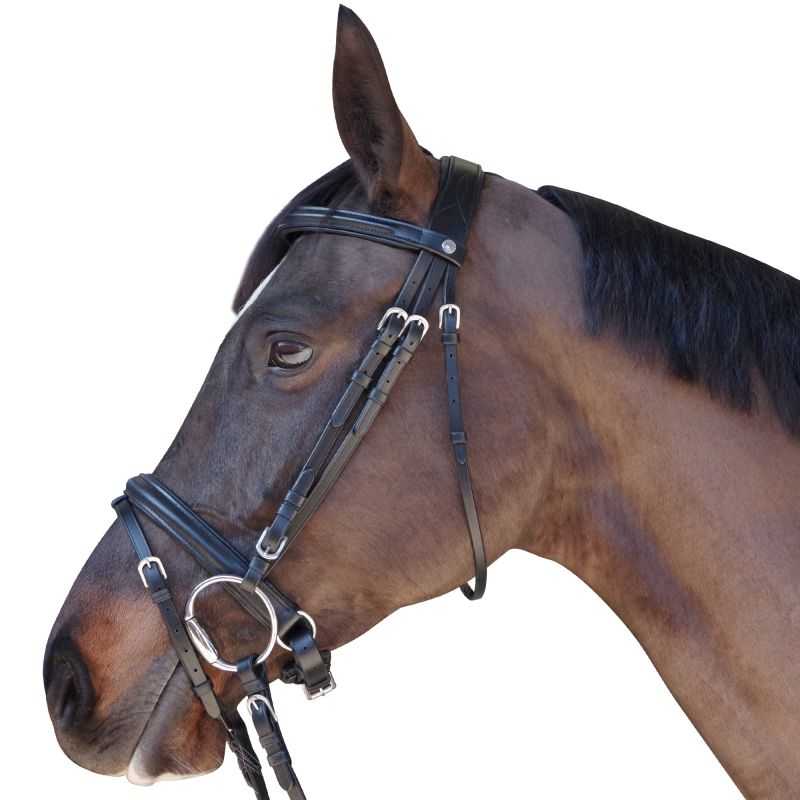 Bridon Euro Pull-back Canter