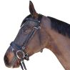 Bridon Euro Pull-back Canter