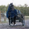 Chemise anti-mouches avec cou pour cheval attelé QHP