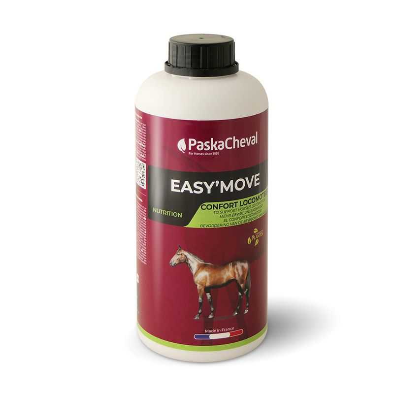 Easy'Move Locomotion Paskacheval Easy'Move Locomotion Paskacheval