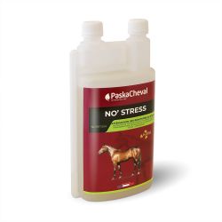 No stress Paskacheval