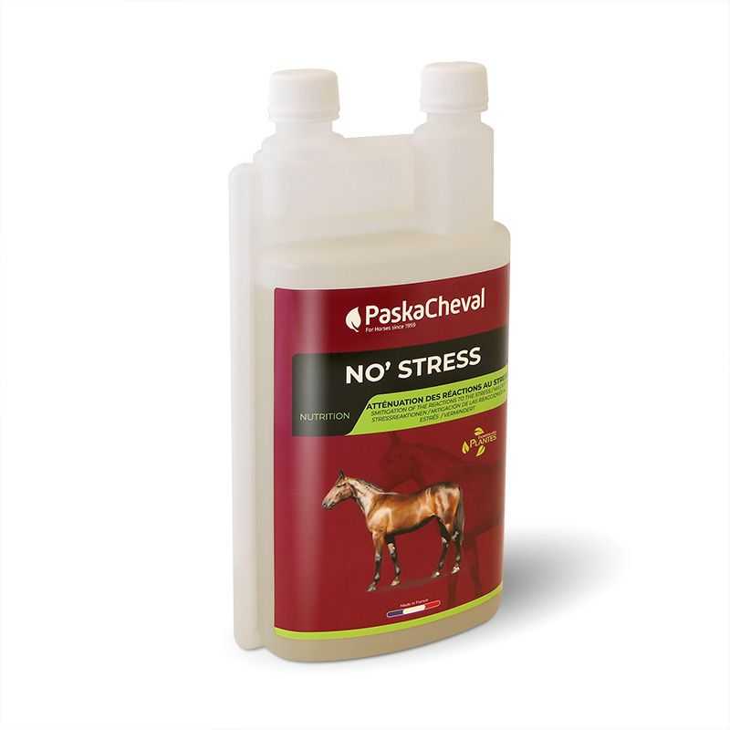 No stress Paskacheval No stress Paskacheval