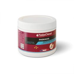 Paskagal Paskacheval