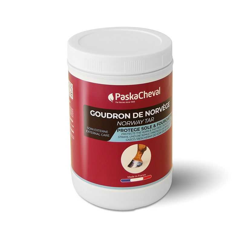 Goudron de Norvège Paskacheval Goudron de Norvège Paskacheval