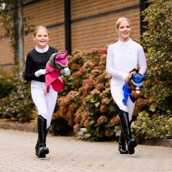 Bridon Hobby Horse QHP