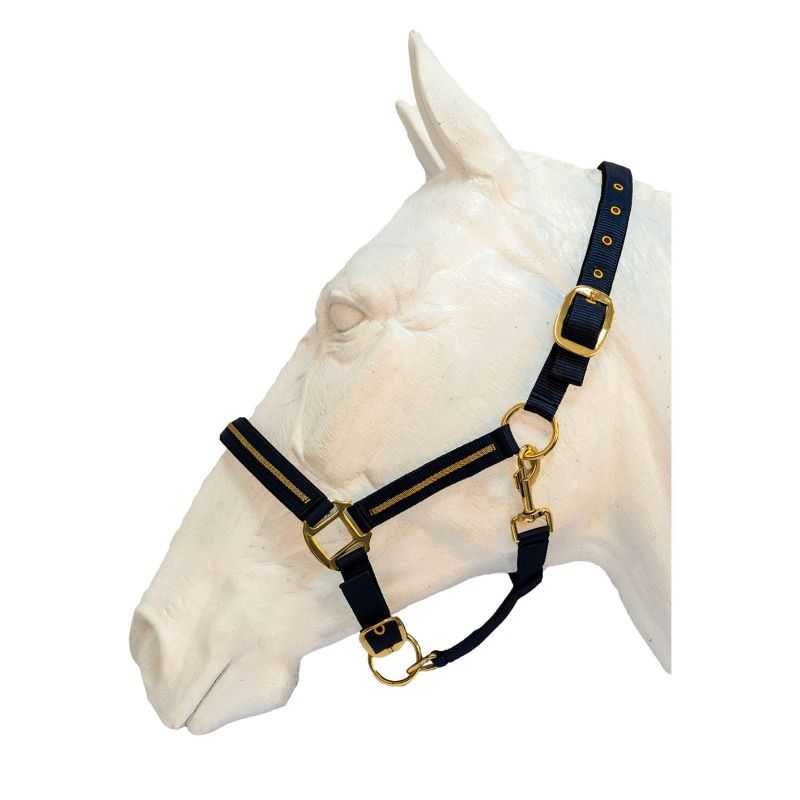 Licol et Longe Nossa Flags&Cup