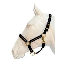 Licol et Longe Nossa Flags&Cup