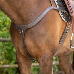 Collier de chasse avec poignée QHP