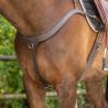 Collier de chasse avec poignée QHP