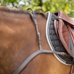 Collier de chasse avec poignée QHP