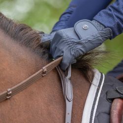 Collier de chasse avec poignée QHP