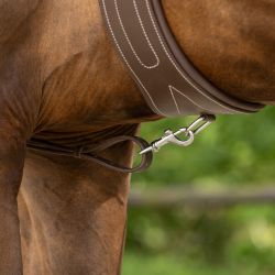 Collier de chasse avec poignée QHP