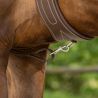 Collier de chasse avec poignée QHP