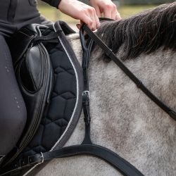 Collier de chasse avec poignée QHP
