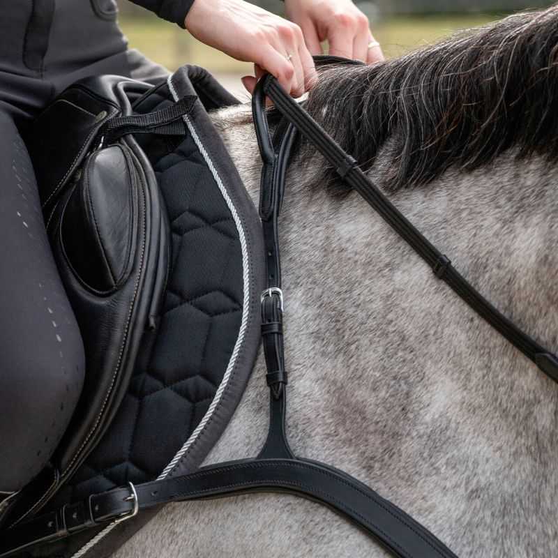 Ensement Collier Tête QHP Avec Aiguillage Pour Cheval - Couleur Amande (Neuf)